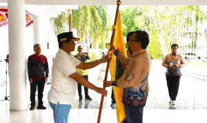 kabupaten barsel 87