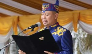 kabupaten barsel 91