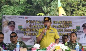 kabupaten barsel 08